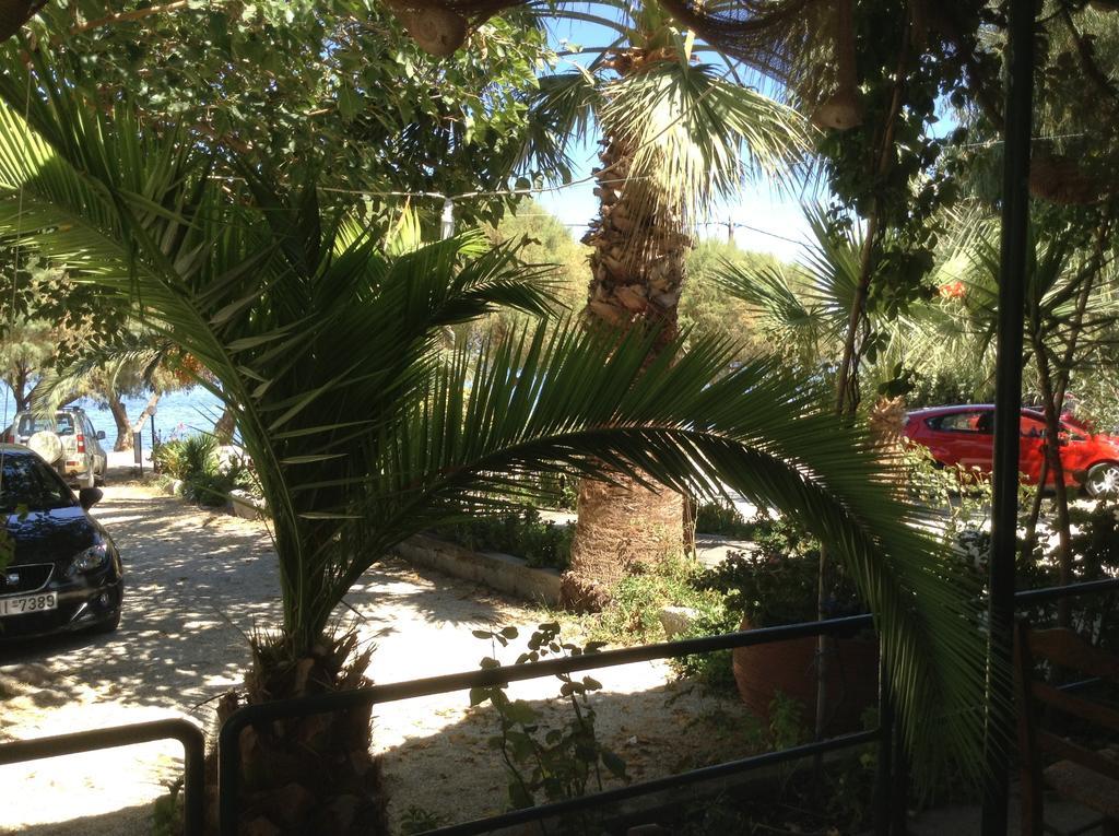 Rooms To Let To Kyma Skala Sikamineas Skala Sykamineas Zewnętrze zdjęcie
