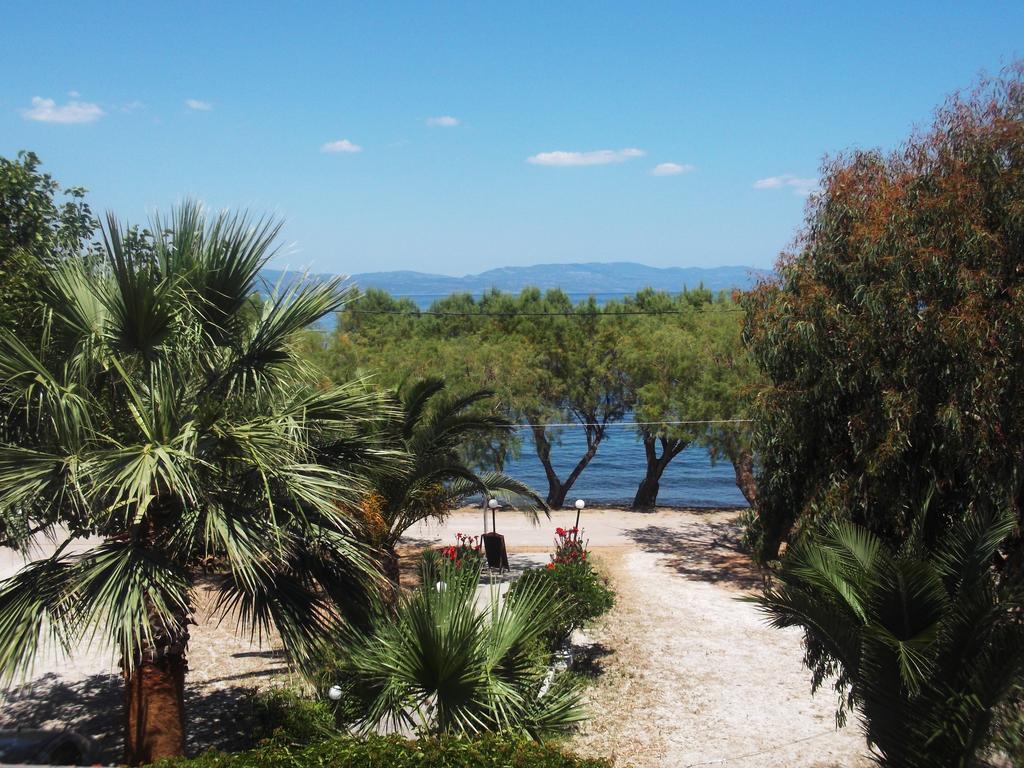 Rooms To Let To Kyma Skala Sikamineas Skala Sykamineas Pokój zdjęcie