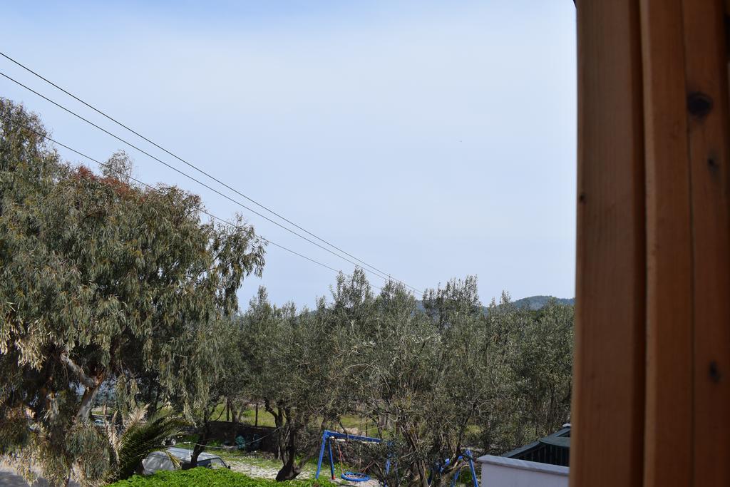 Rooms To Let To Kyma Skala Sikamineas Skala Sykamineas Zewnętrze zdjęcie